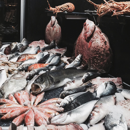 Yüksel Balık Yeşilköy