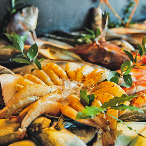 Yüksel Balık Yeşilköy