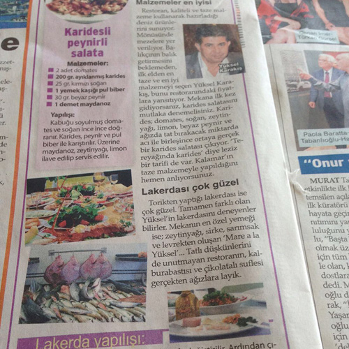 Basında Yüksel Balık