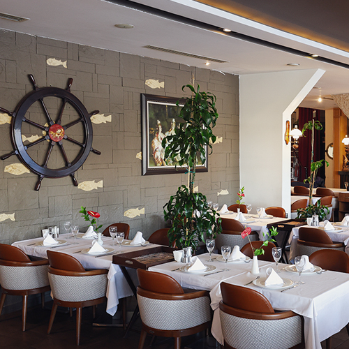 Yüksel Balık Yeşilköy