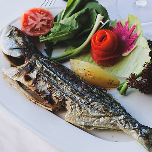 Yüksel Balık Yeşilköy